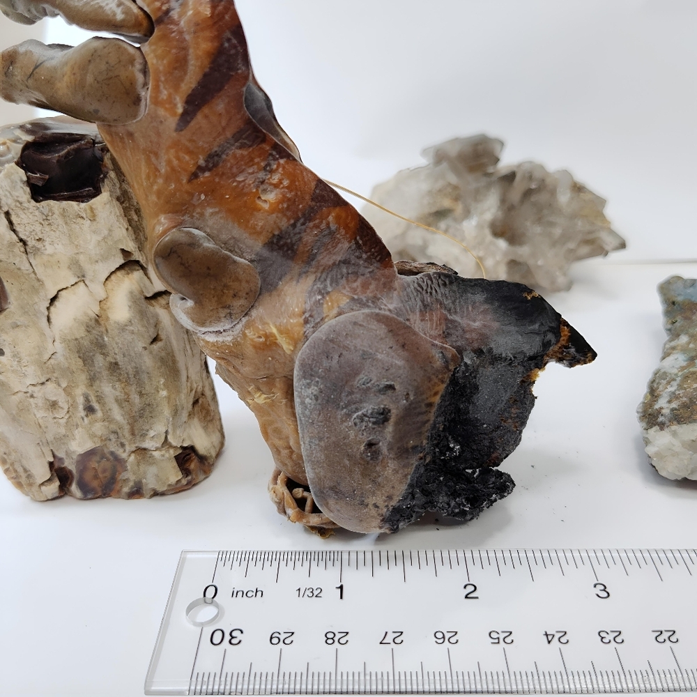 🔥 Inferno Rex Roast-a-sarous One-of-a-Kind T. Rex Art Sculpture by Gabe - Picture 8 of 10